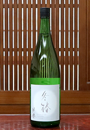 敷嶋　冬椿　季節限定酒
