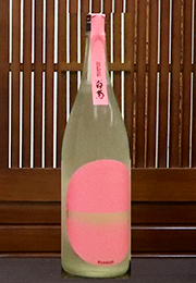 大典白菊　サンライズピンク・生　Concept Workers Selection