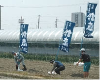 ２００６年の田植え